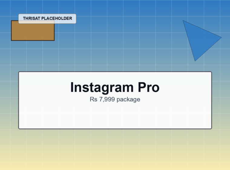 Instagram Handling Pro